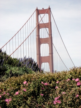 This photo of San Francisco's Golden Gate Bridge was taken by Nicole Kotschate from Munich, Germany.